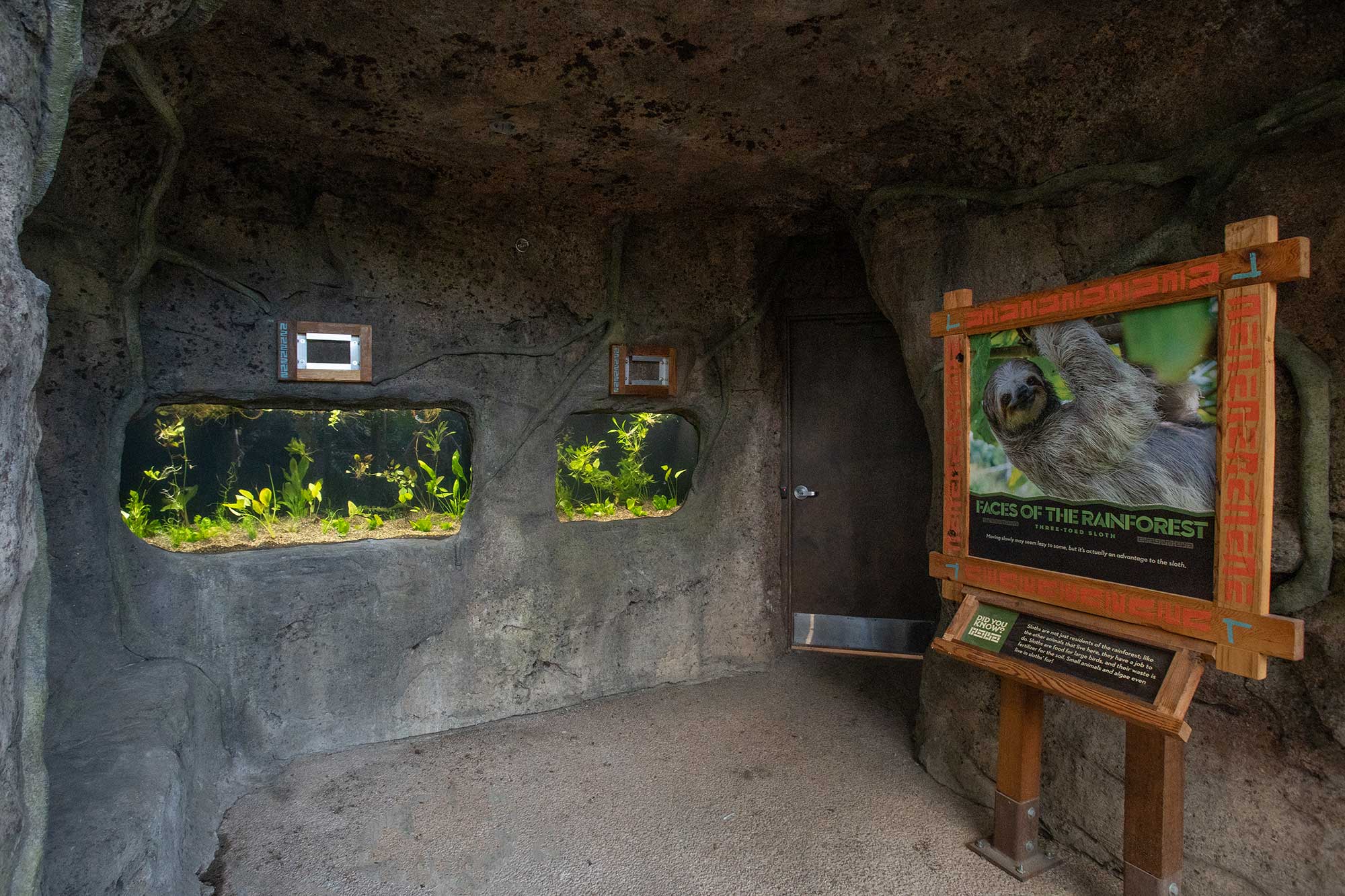 Roger Williams Zoo Rainforest Exhibit by Bentley Builders